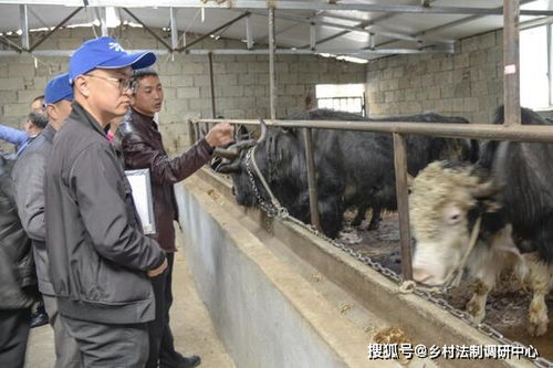 山东莱西市打造“三循环”模式助推畜牧业绿色发展